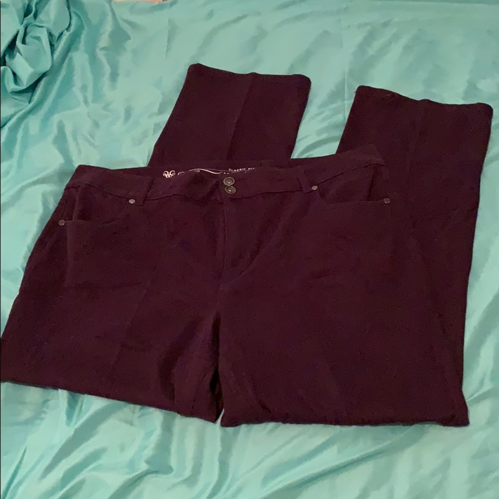 Cold water Creek Eggplant purple pants
